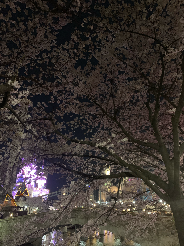 ki******** profile image