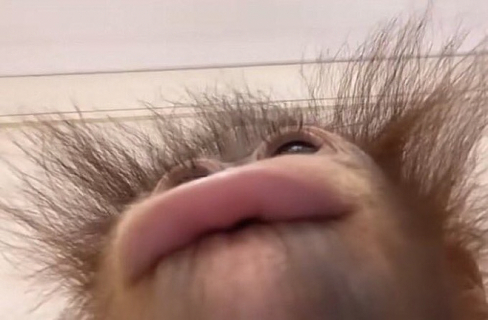 Hwahae User profile image