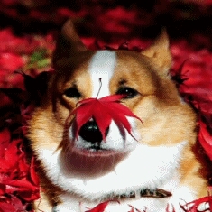 tp****** profile image