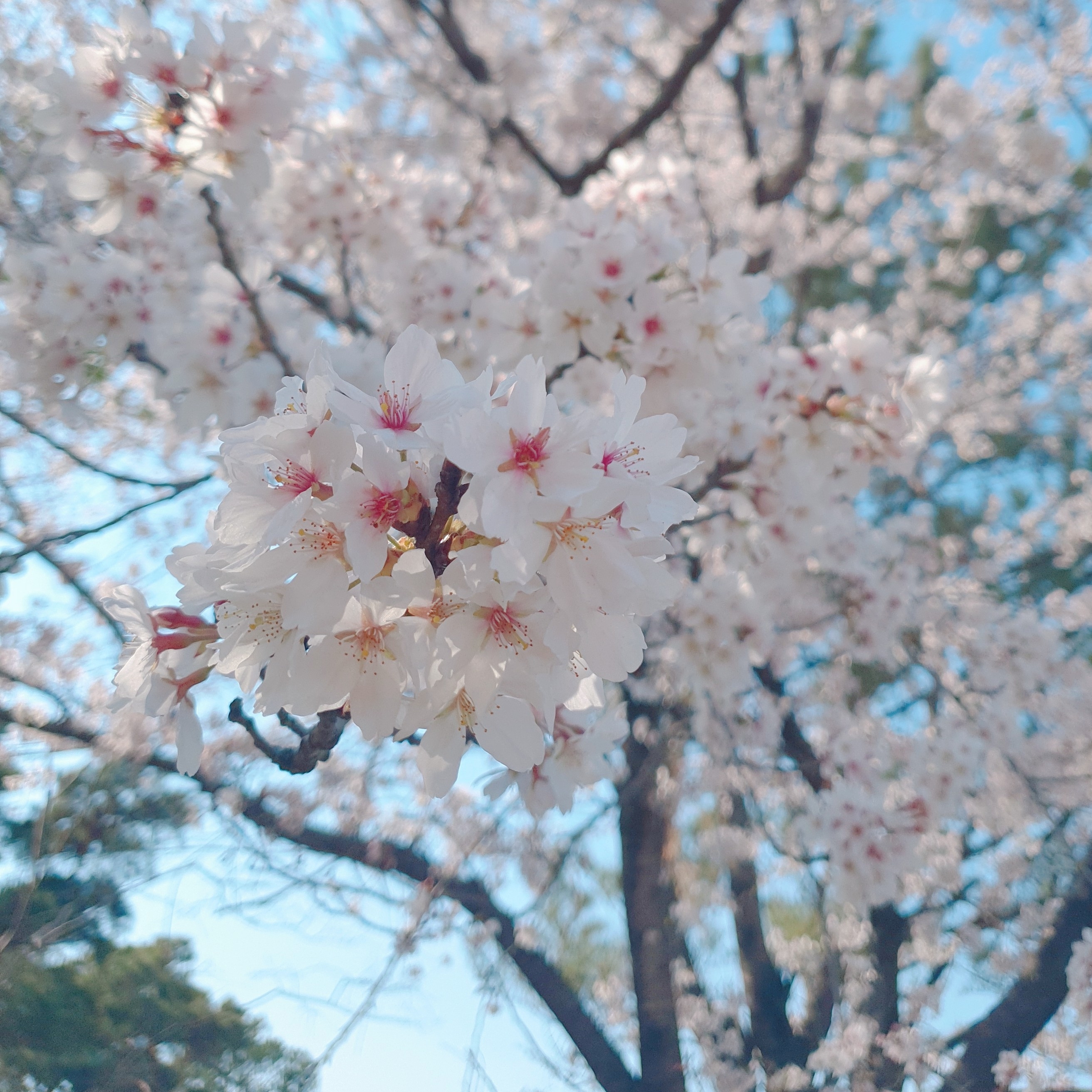 he********* profile image