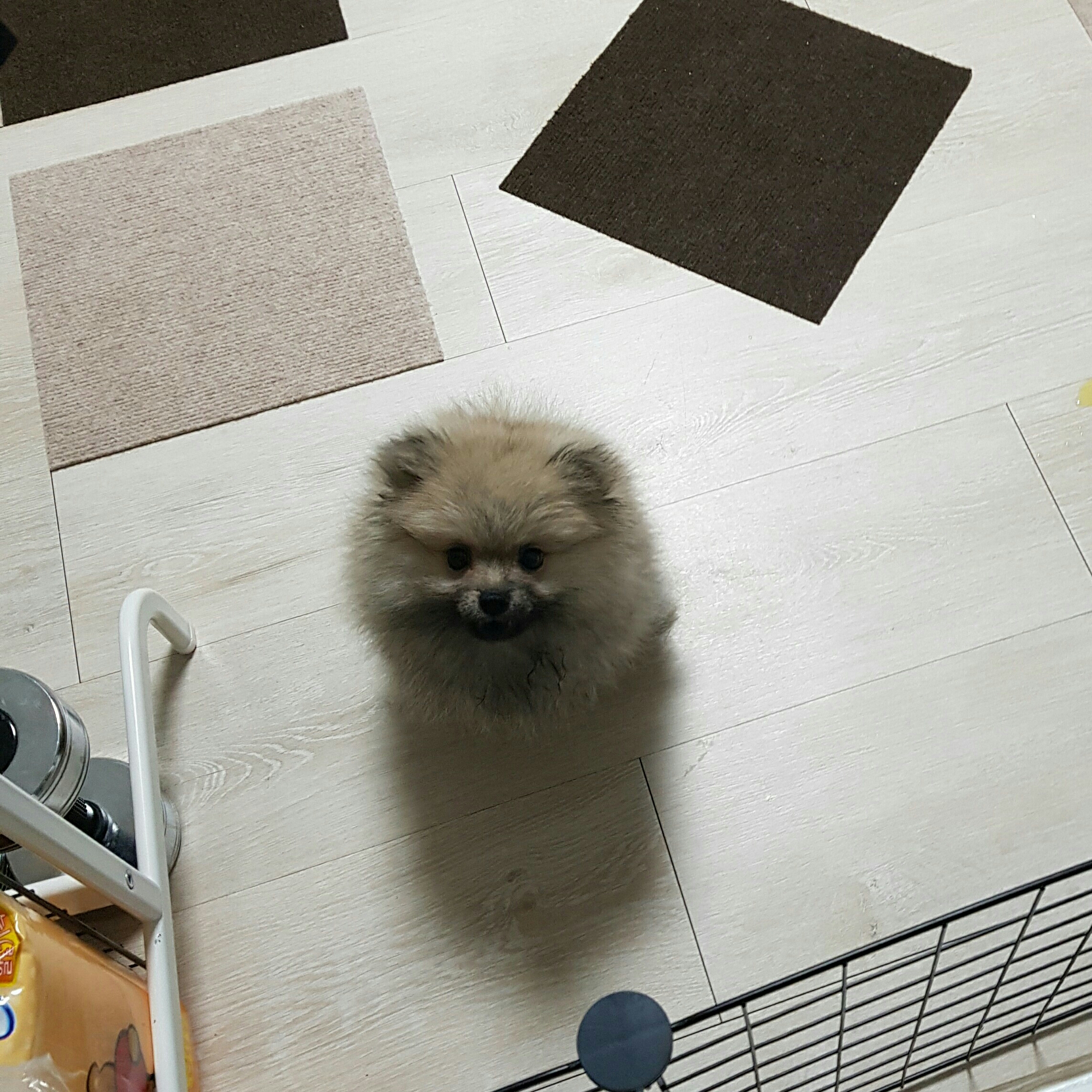 rl******* profile image