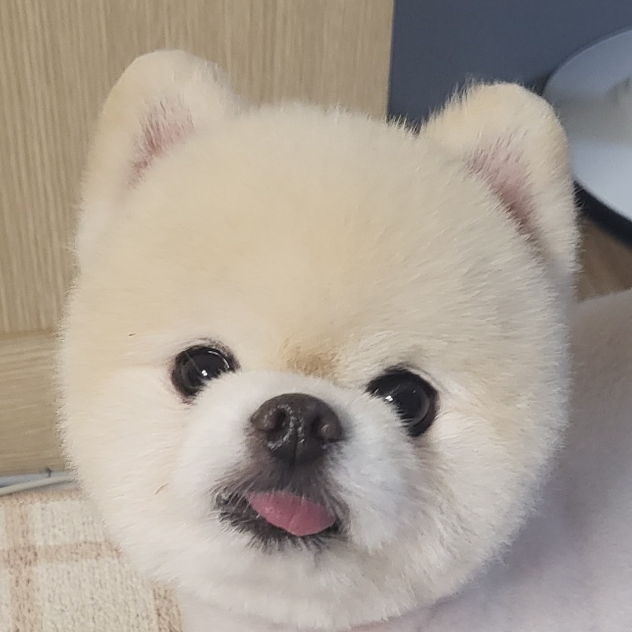 tn****** profile image