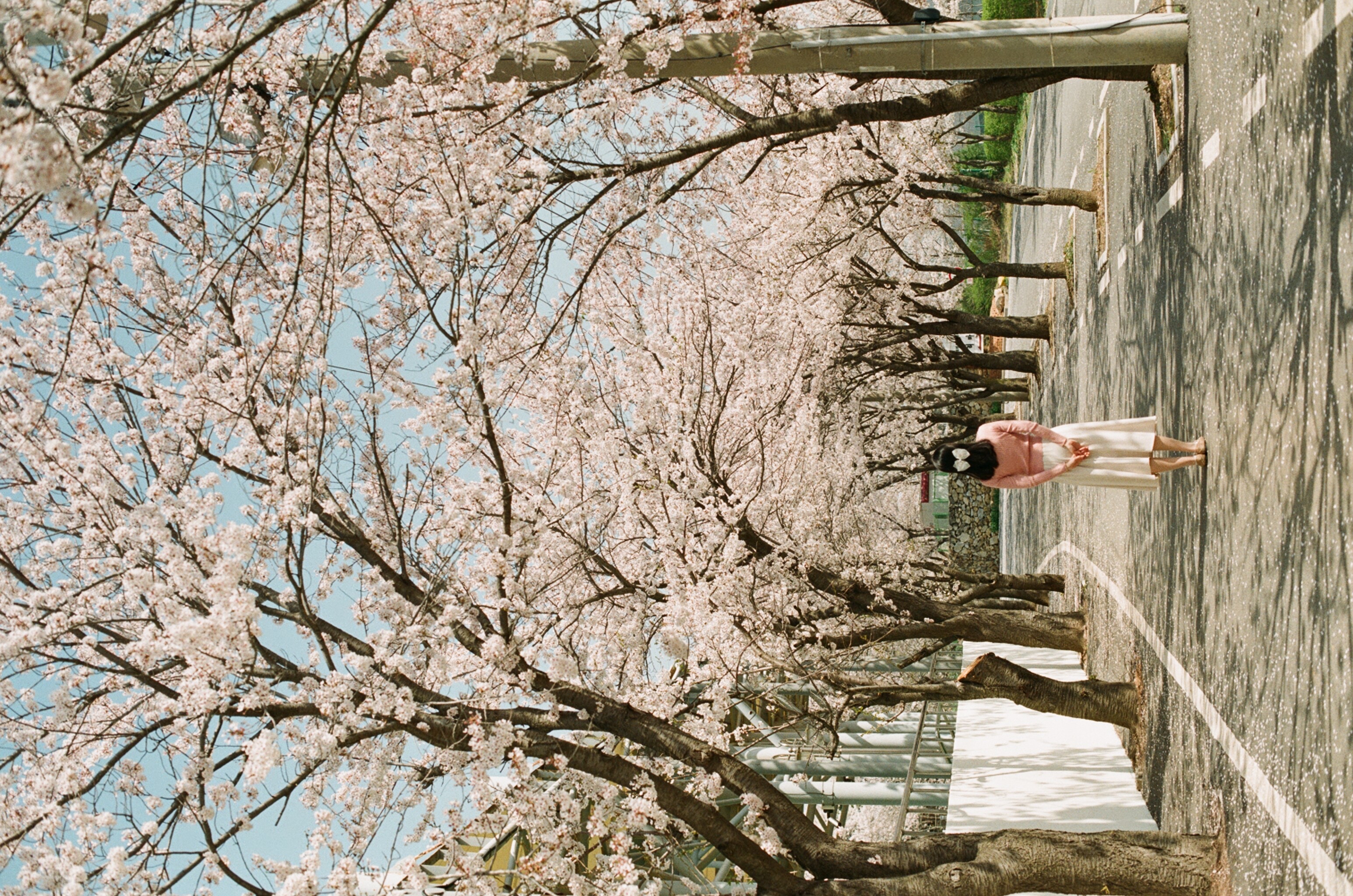 ji********* profile image