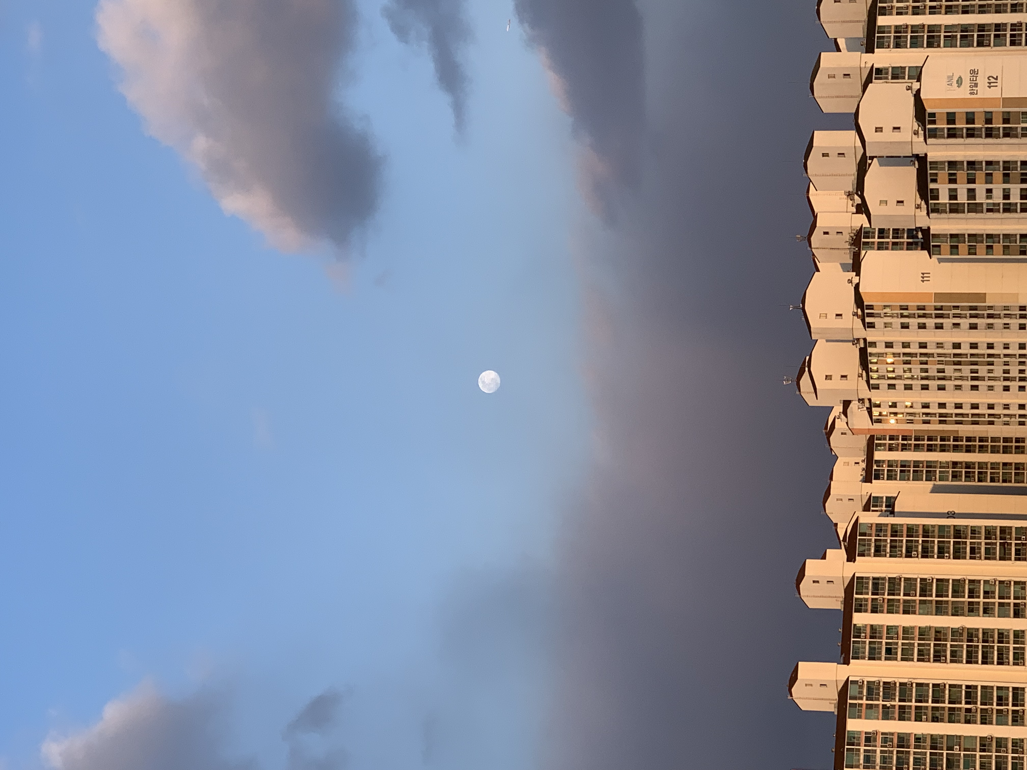 xo****** profile image