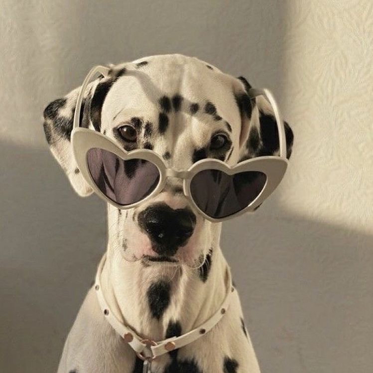 wn******* profile image