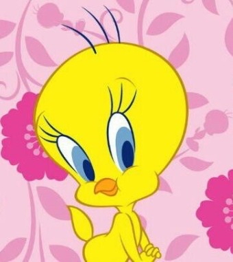 se****** profile image