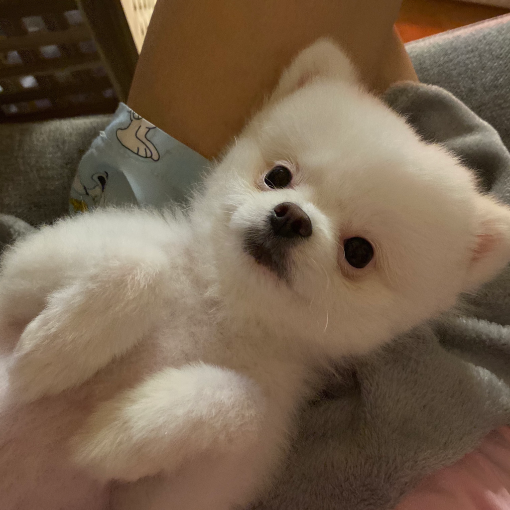 yu****** profile image