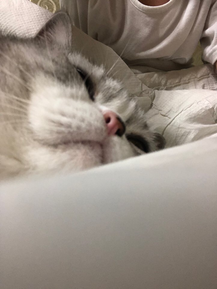 ri***** profile image