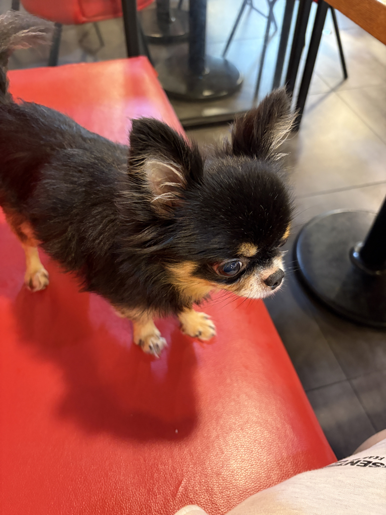 re****** profile image