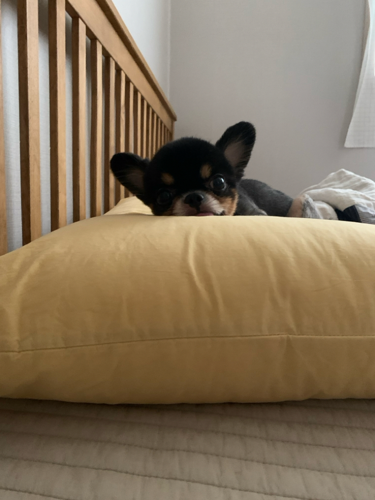 re****** profile image