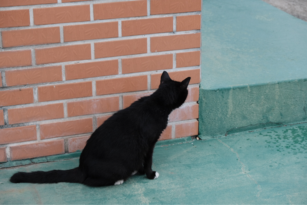 ye**** profile image