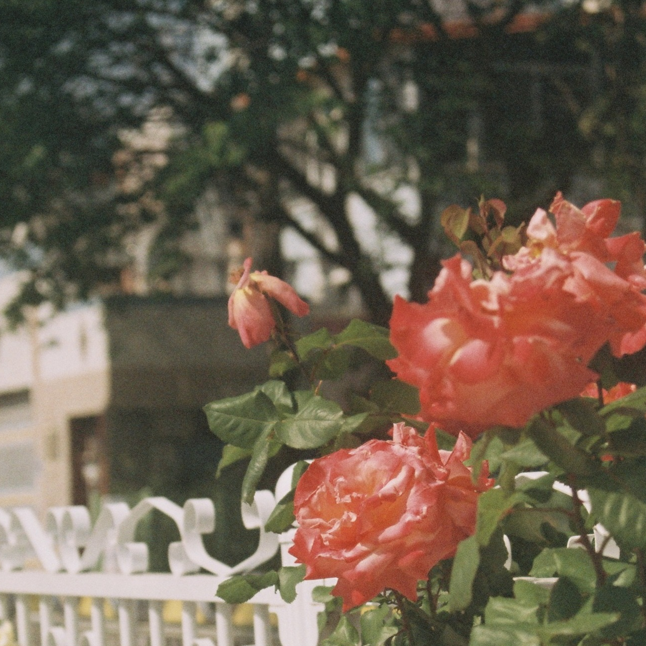 uy**** profile image