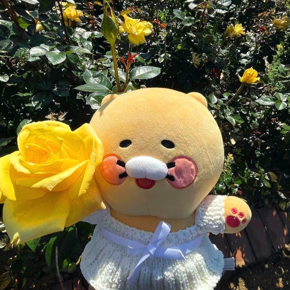 js***** profile image