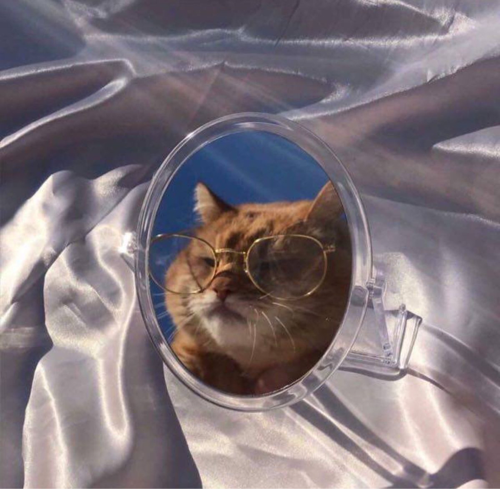 25***** profile image