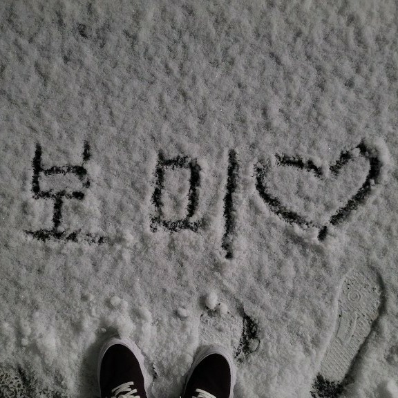 qh******** profile image