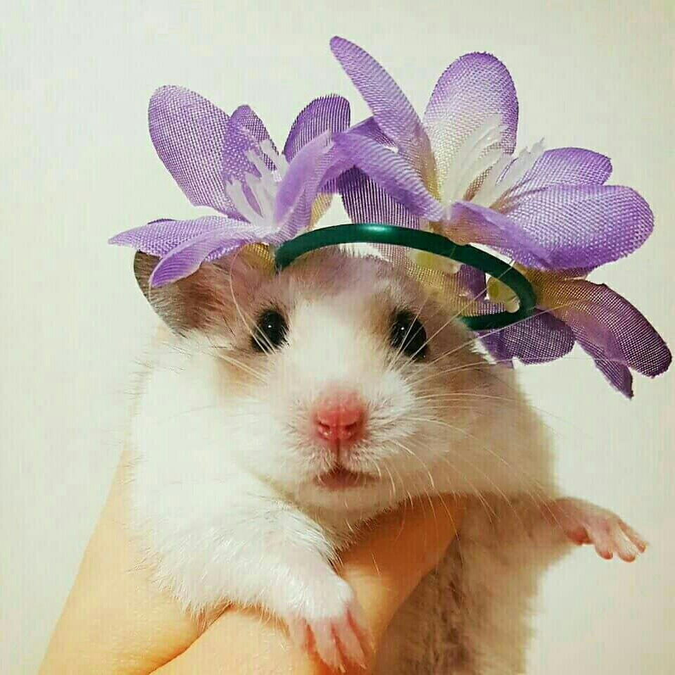 Hwahae User profile image
