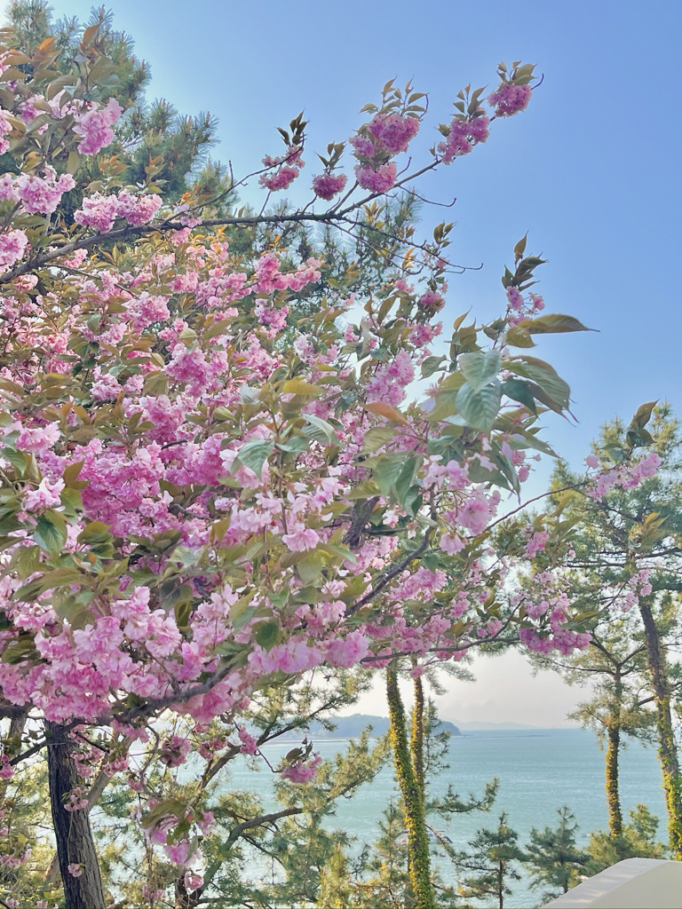 sm****** profile image