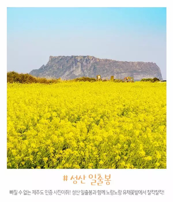 mi******** profile image