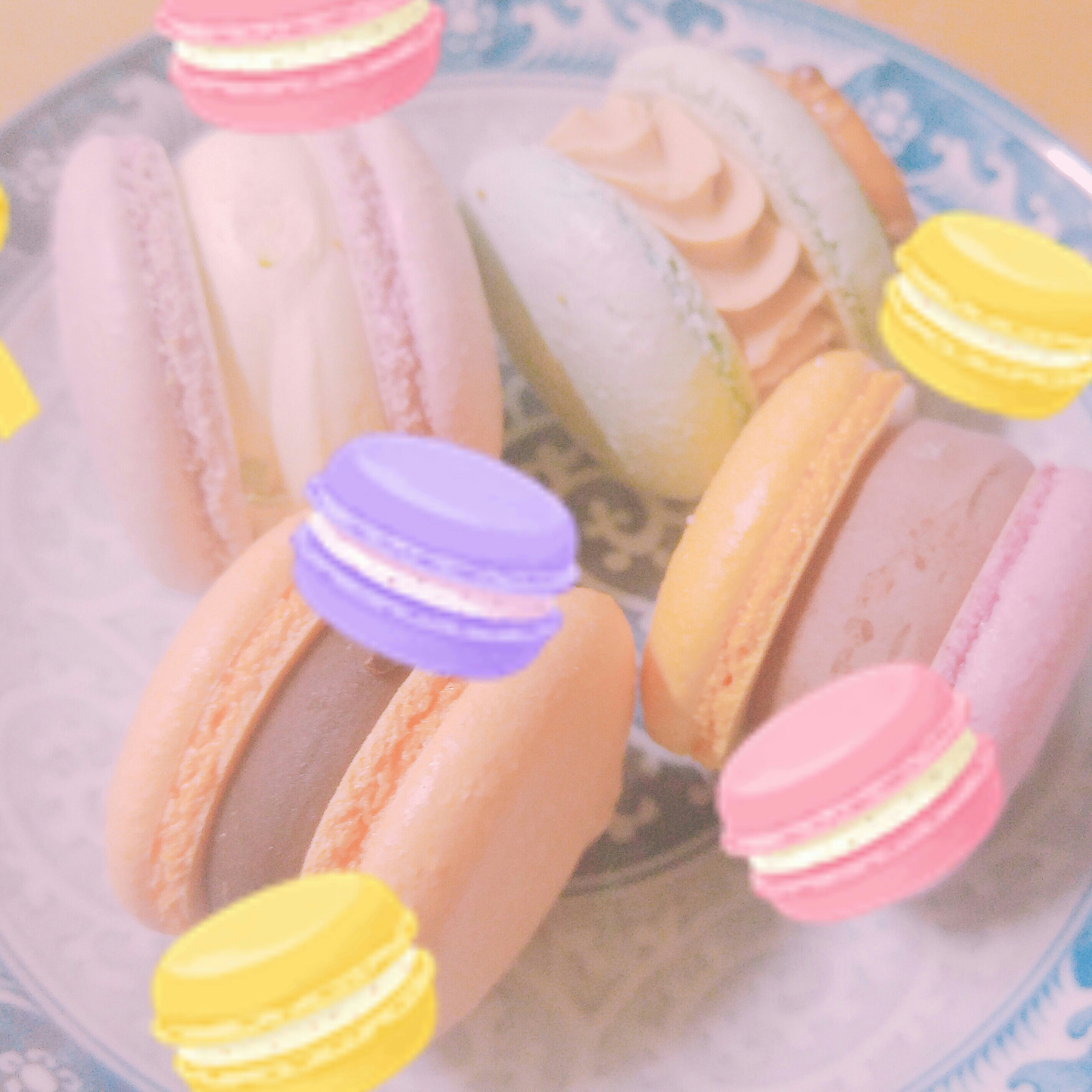 pt****** profile image