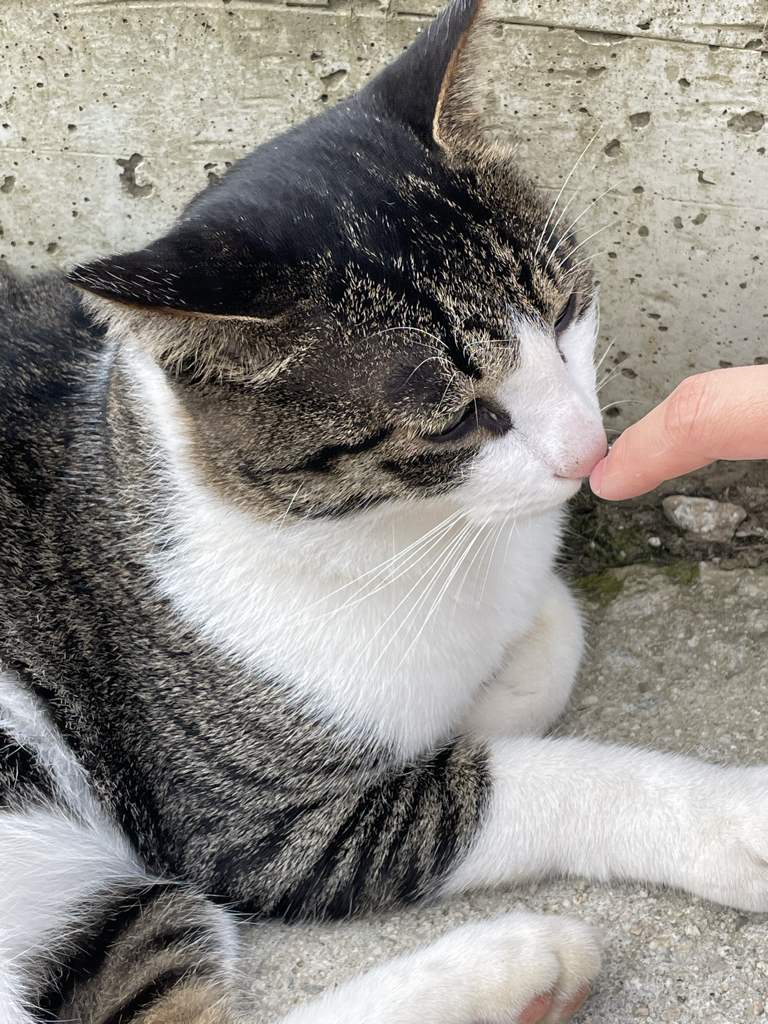 ey****** profile image