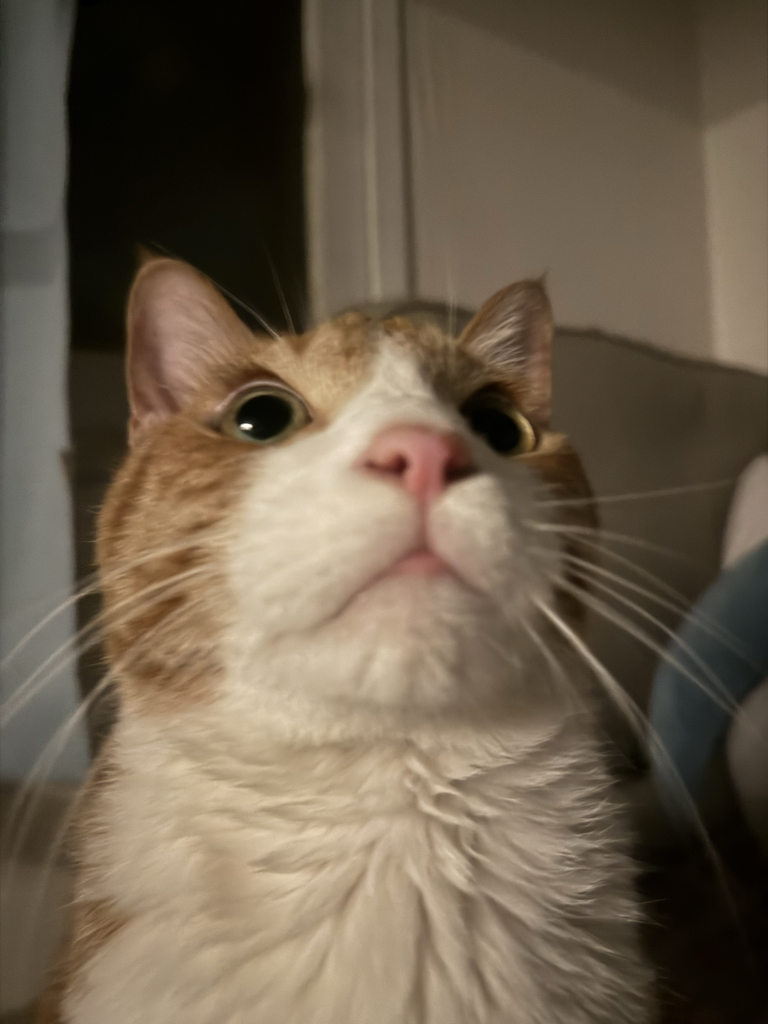 ra******* profile image