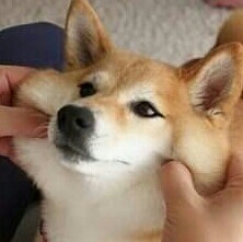 Hwahae User profile image