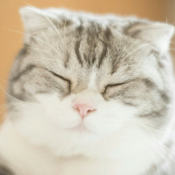 Hwahae User profile image