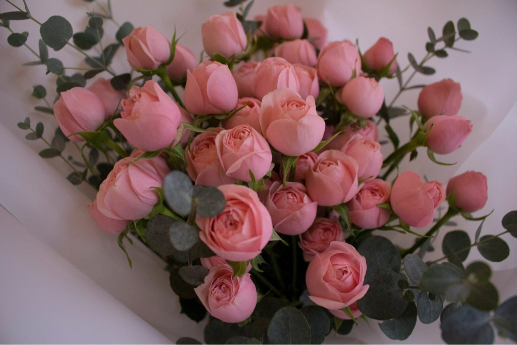 ha******* profile image