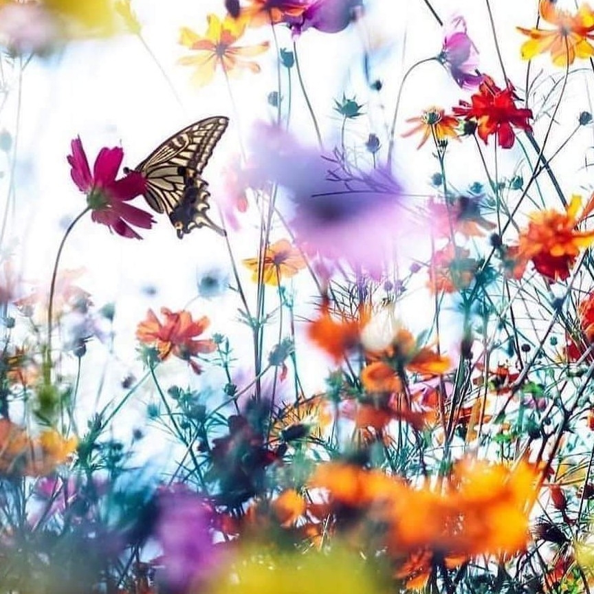 ye******* profile image