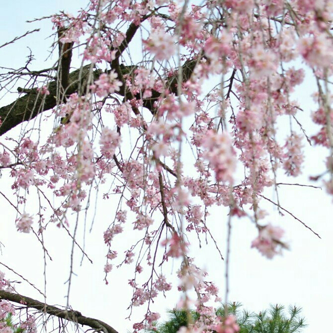 ri********* profile image