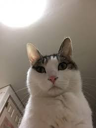 wj******* profile image