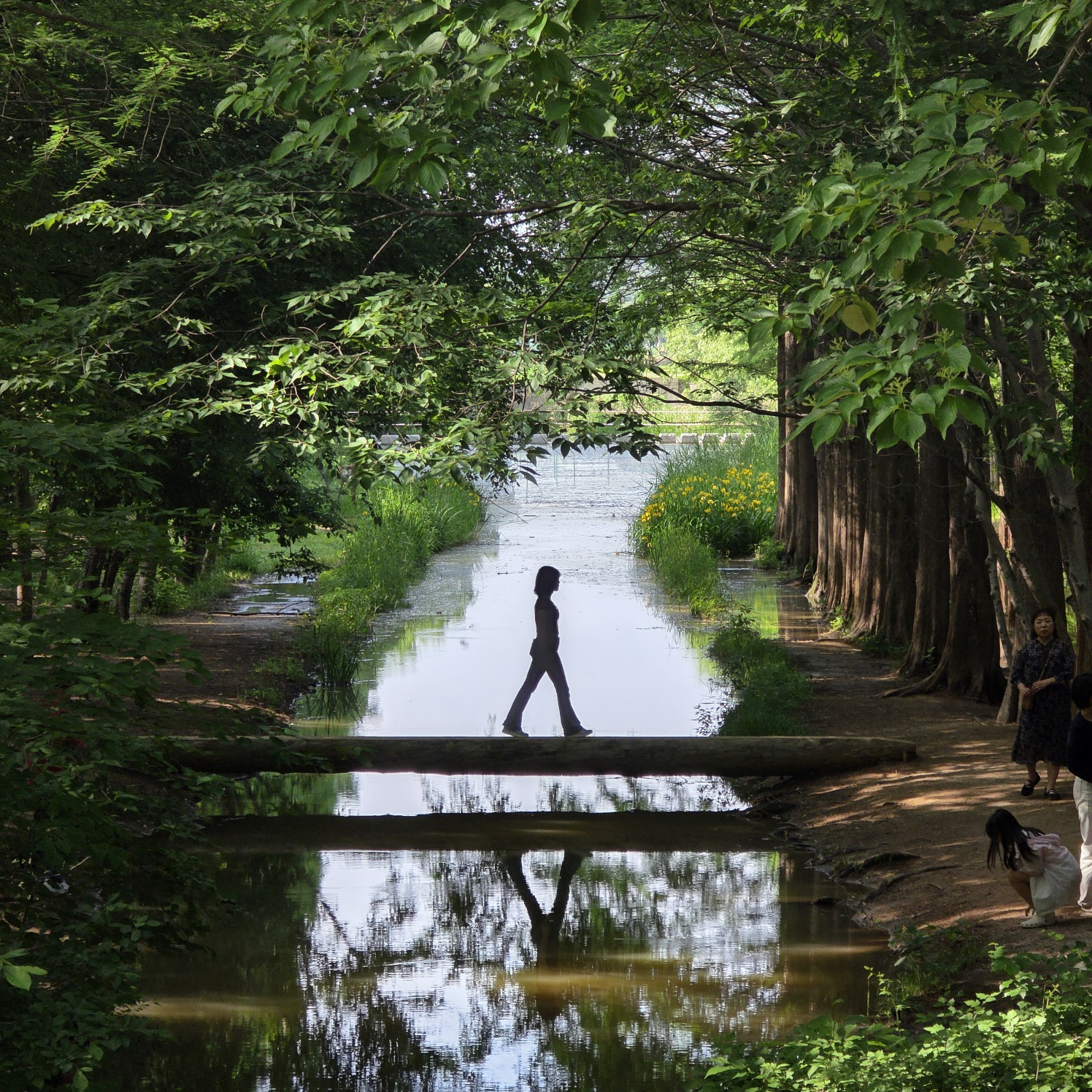 gg******* profile image