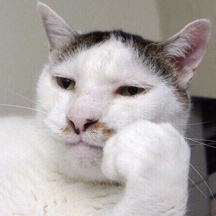 di****** profile image