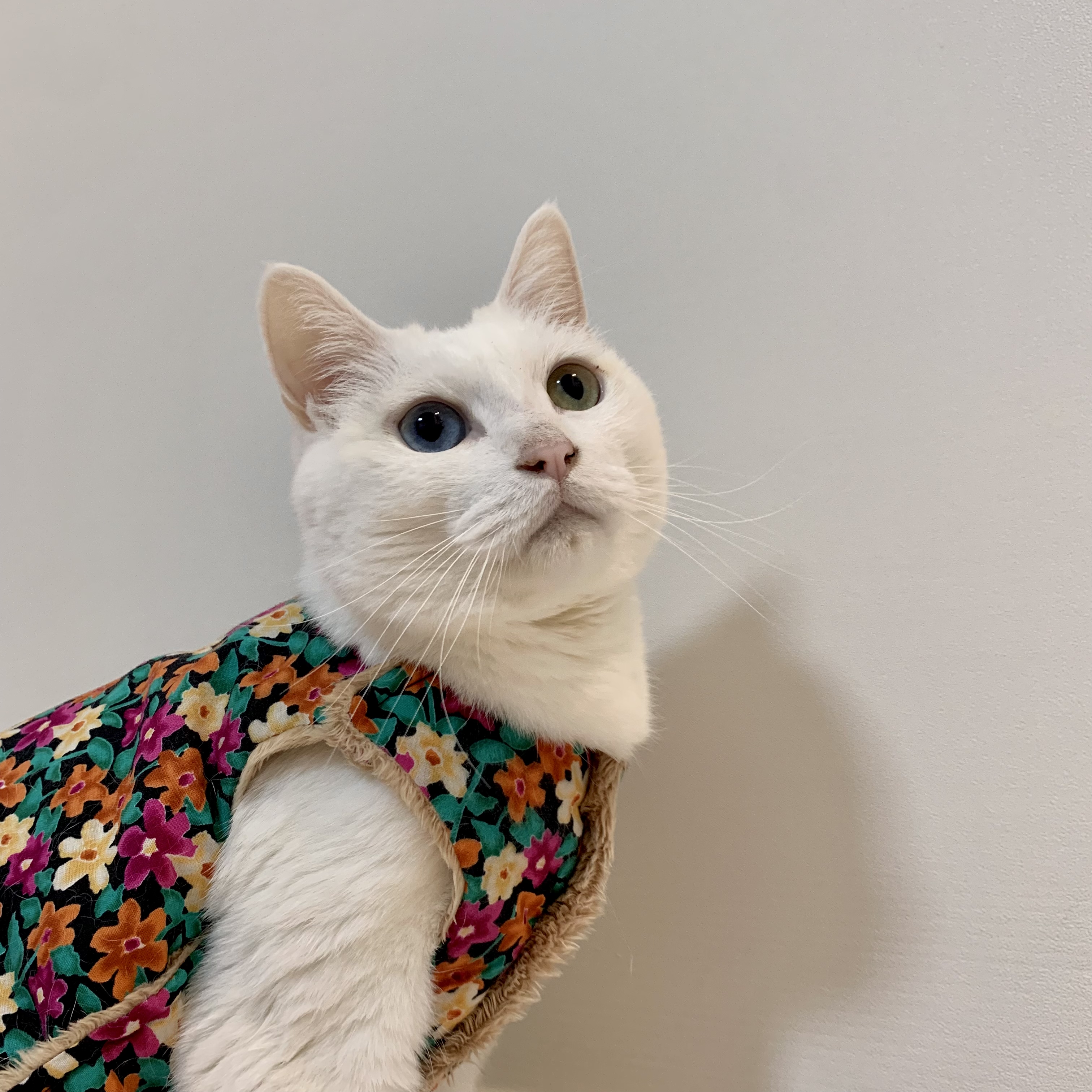 gy******* profile image