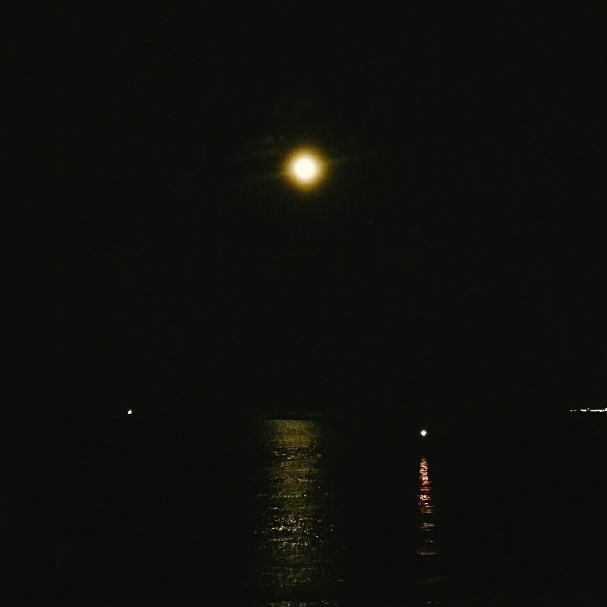 mj****** profile image