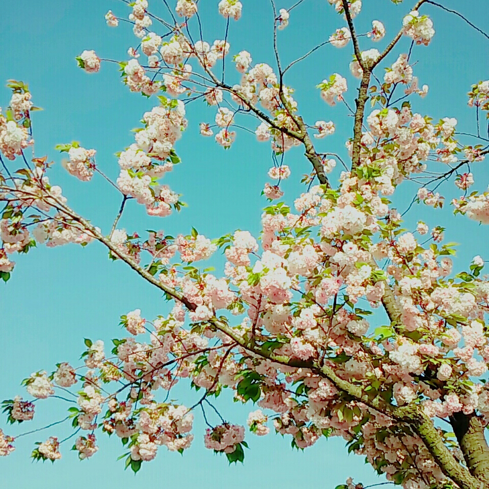 qk******** profile image