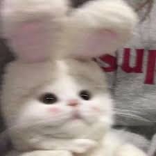 ts****** profile image