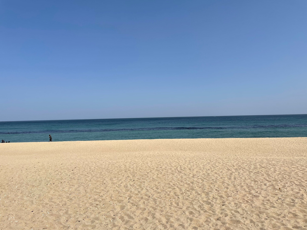 ry***** profile image