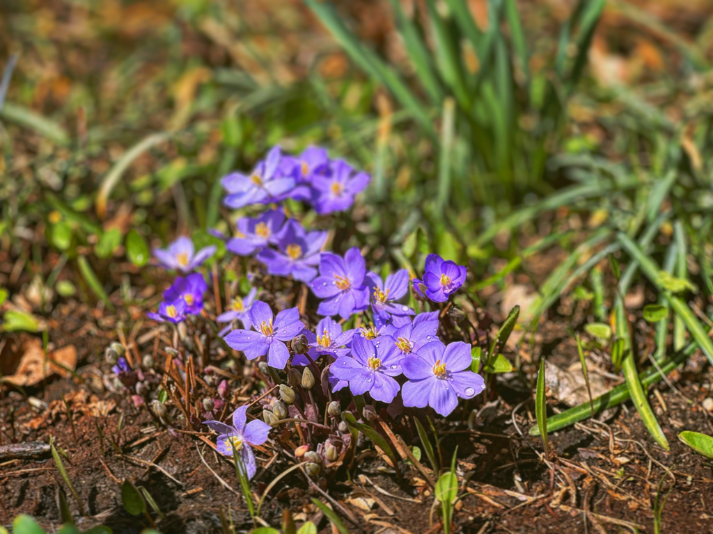 kj***** profile image