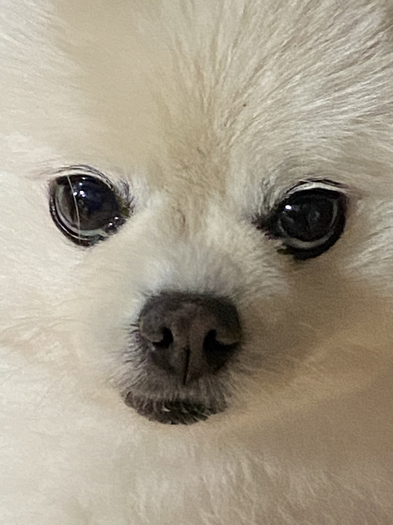 p_******** profile image
