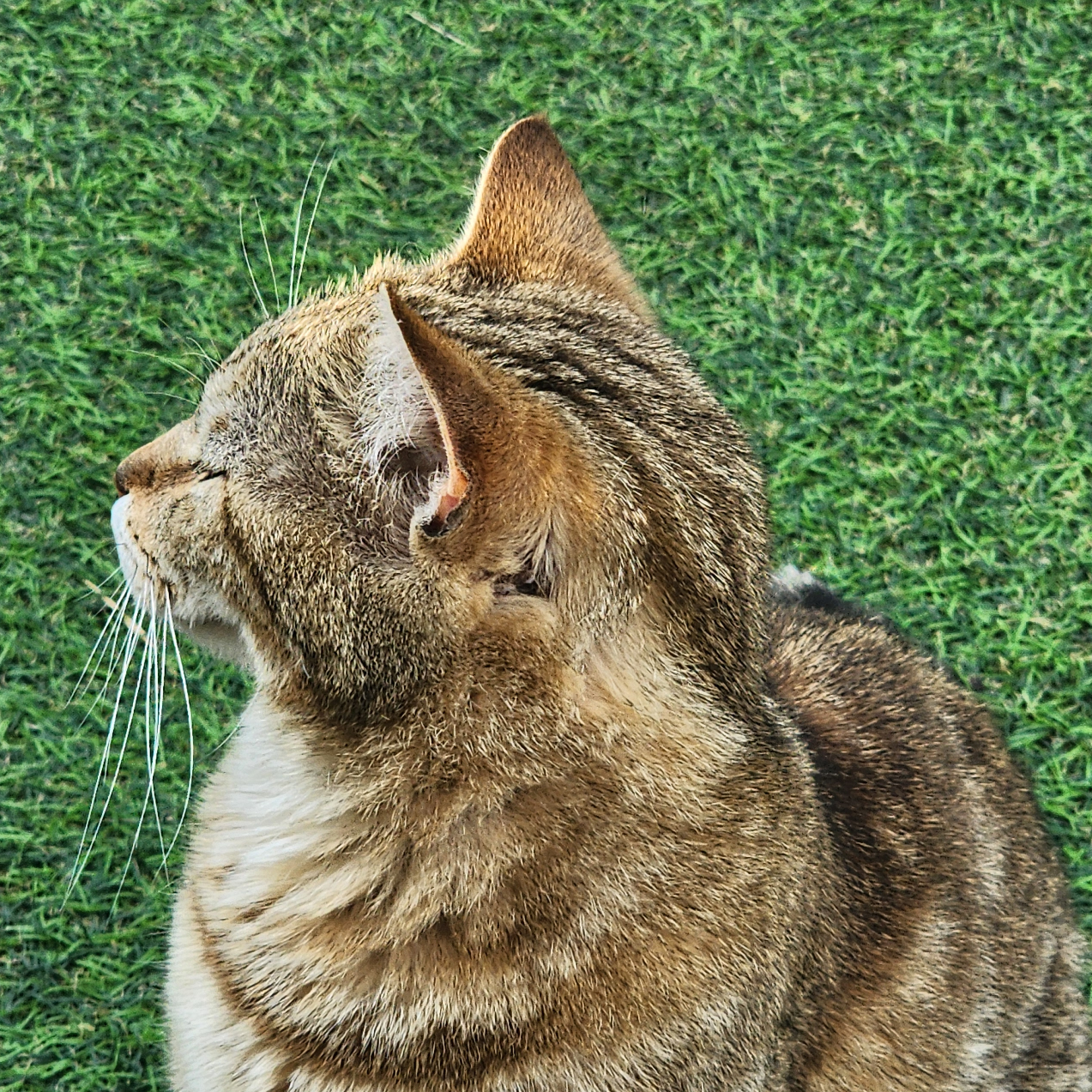 ks***** profile image