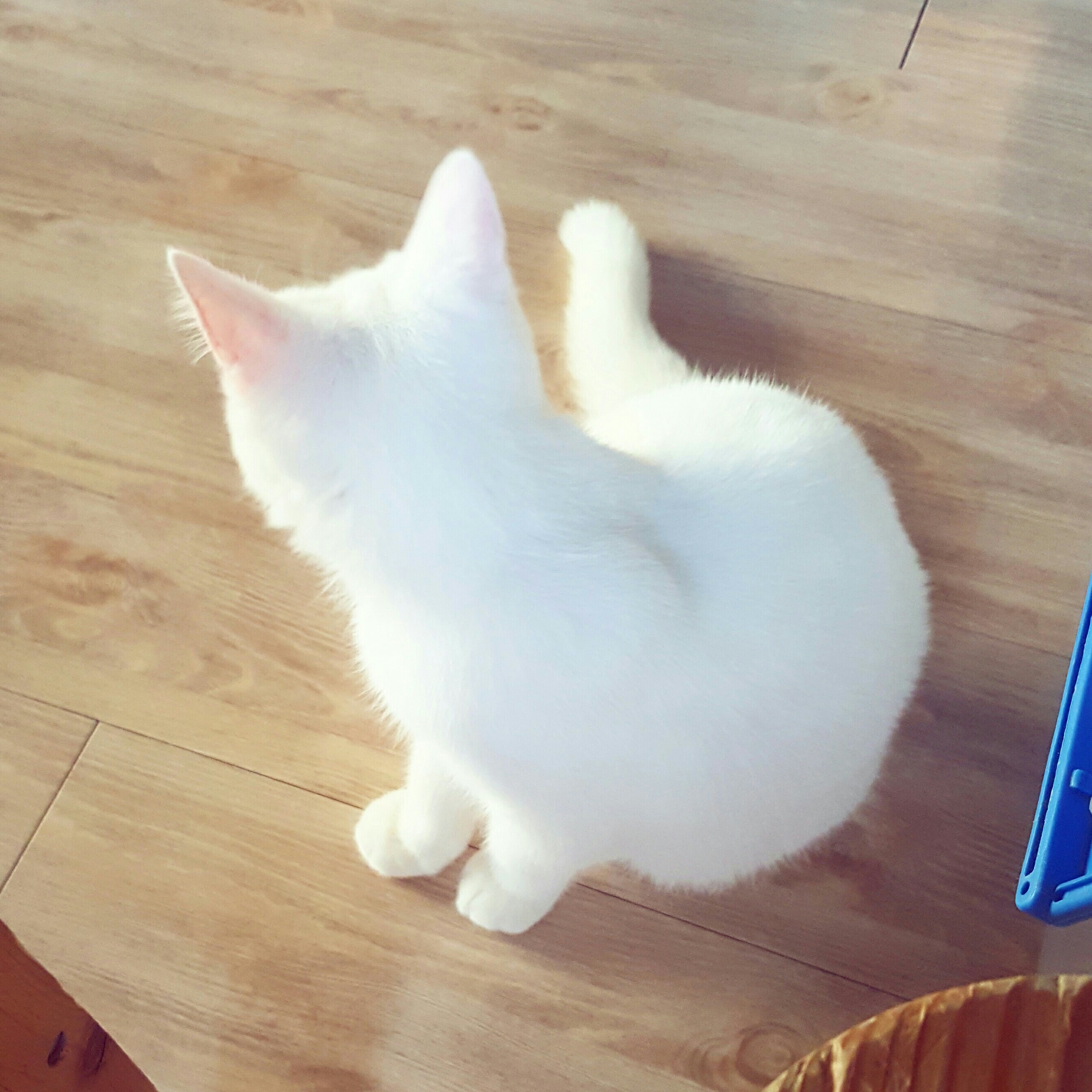 ra****** profile image