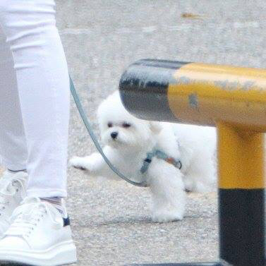 pr***** profile image