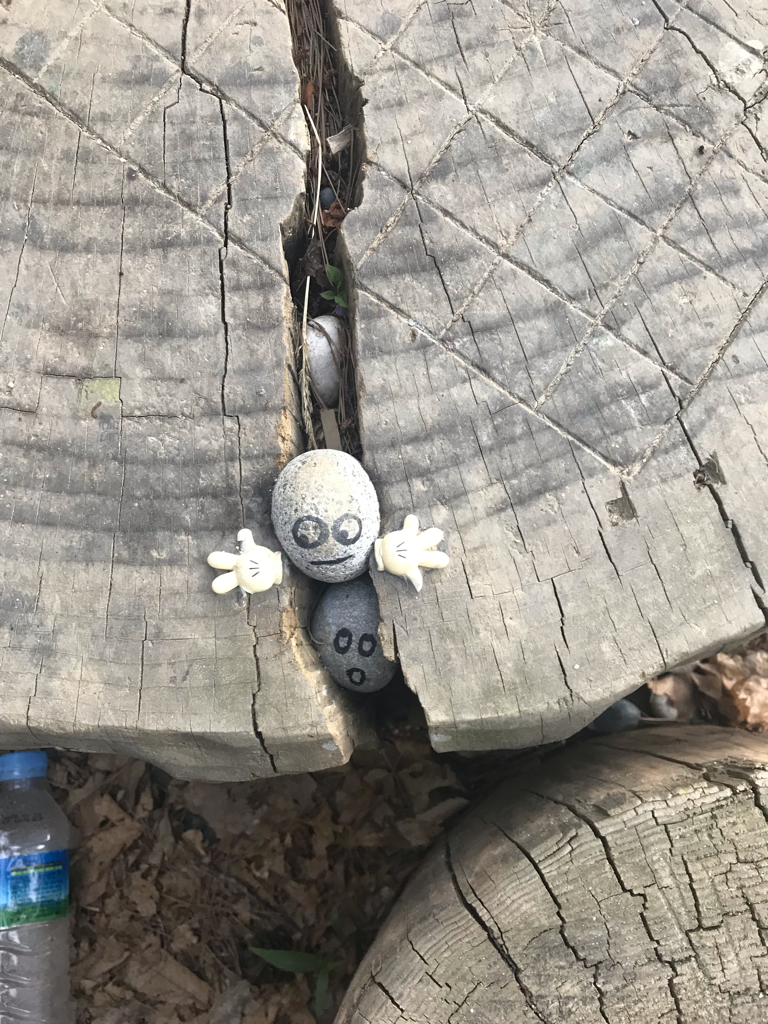 sa****** profile image