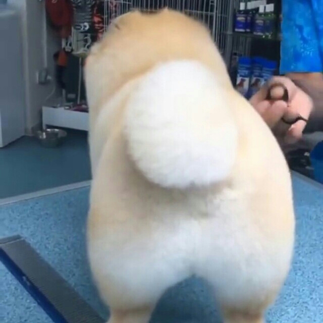 ki***** profile image