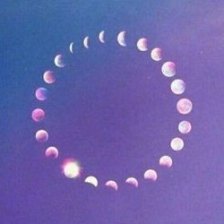 ap***** profile image