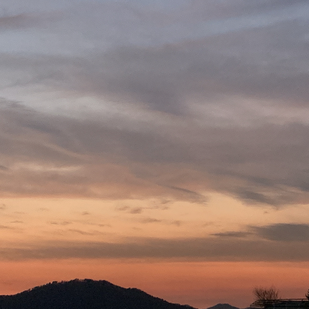 jy***** profile image