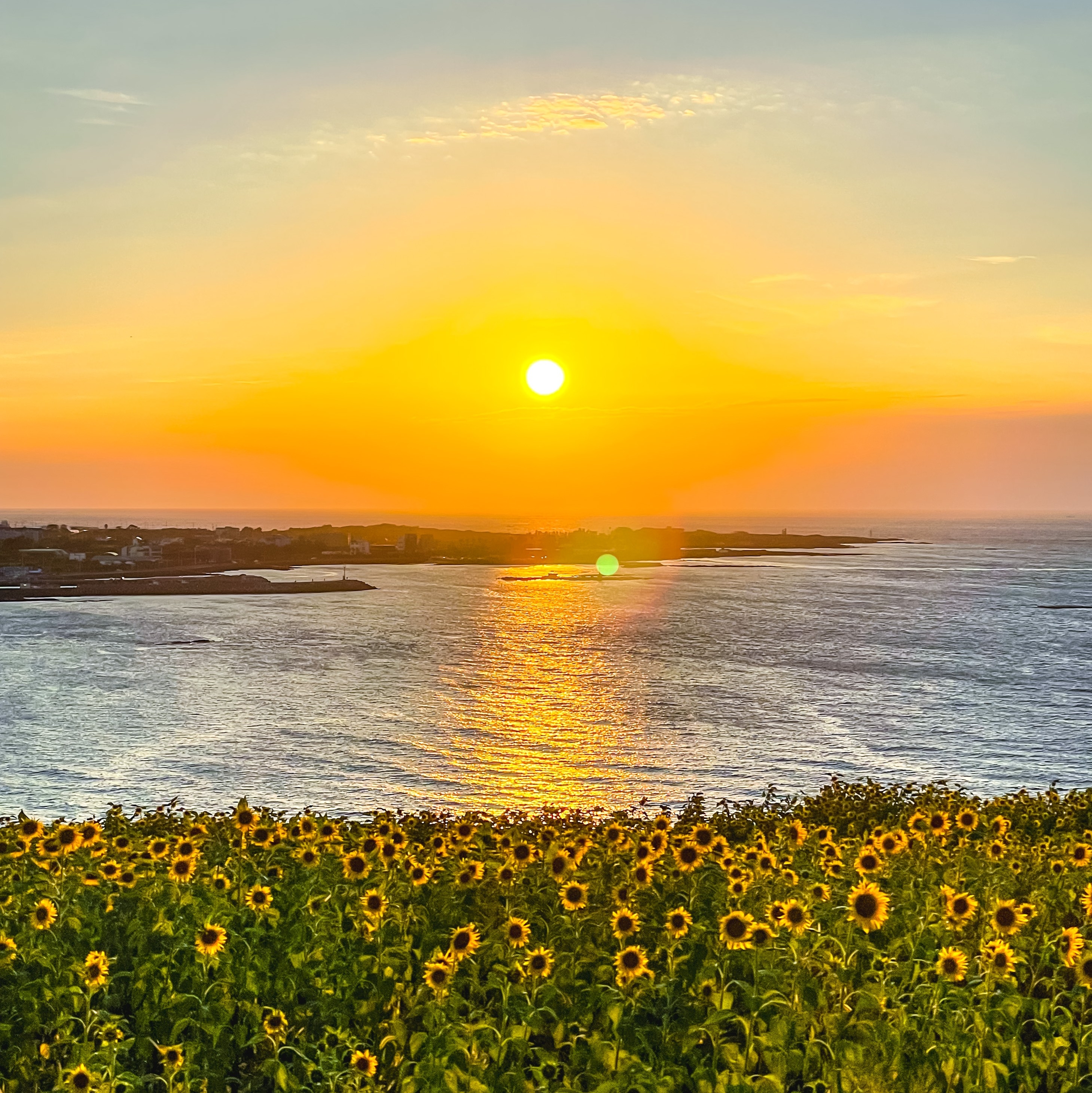 jm****** profile image