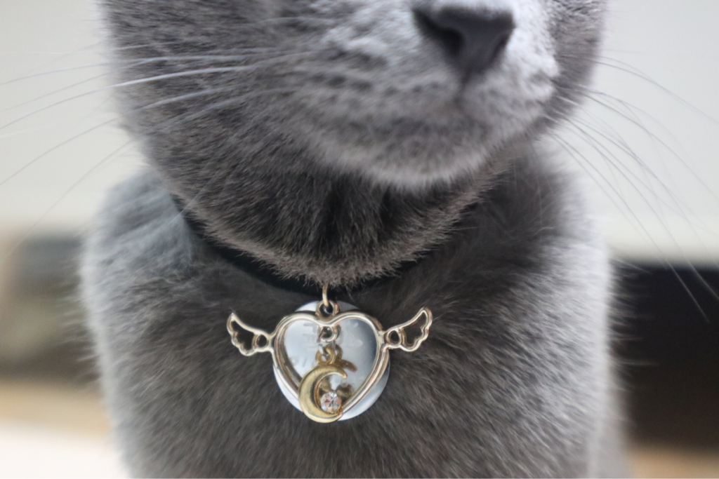 lj***** profile image