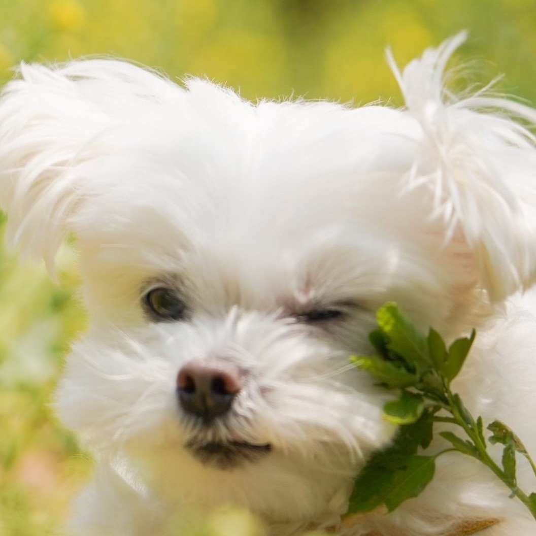 ns***** profile image